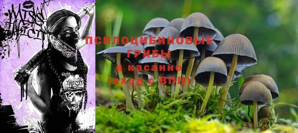 круглые Абаза